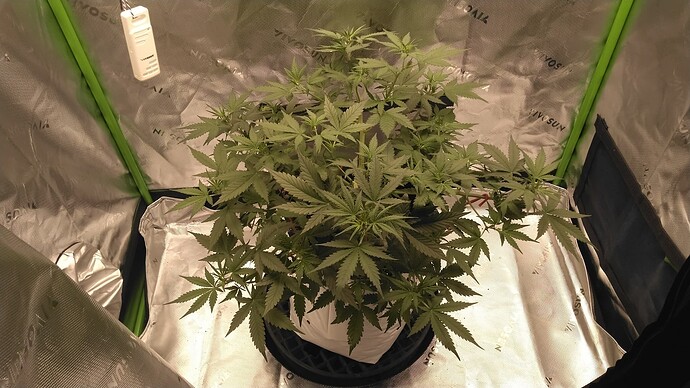 KIMG5408