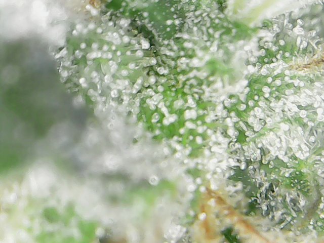 Tue%20Jul%2016%2008-50-18