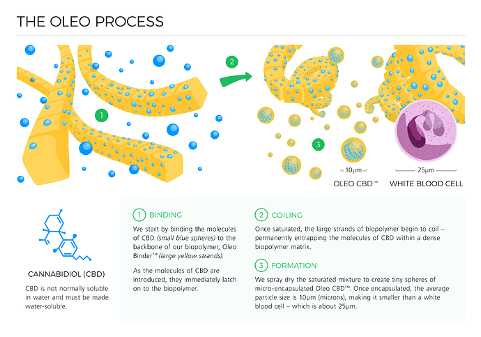 The%20Oleo%20Process