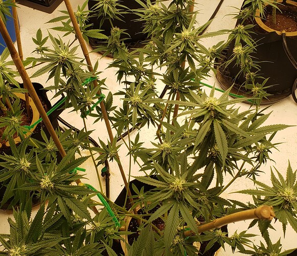 20211105_103747_resized