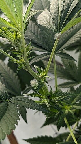 PXL_20250911_144336973