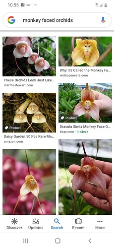 Screenshot_20210210-225543_Google