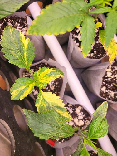 20221221_0855@TechDCo