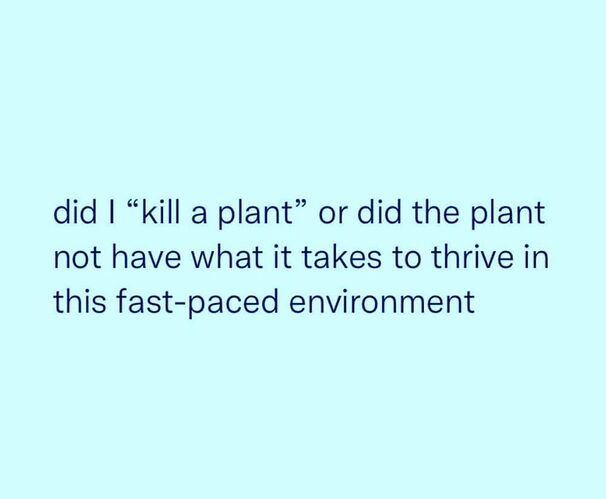 kill plant