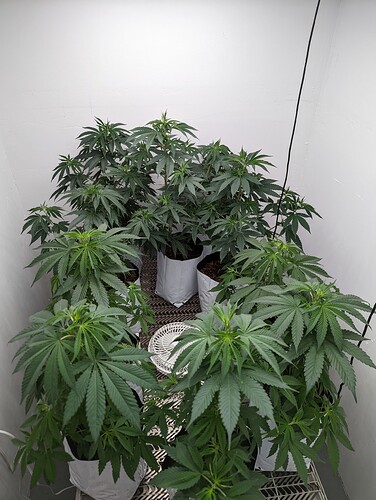 PXL_20220520_190702822