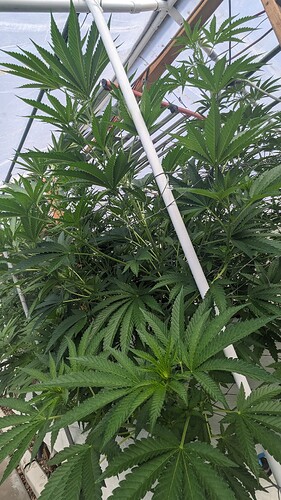 PXL_20250911_203439179