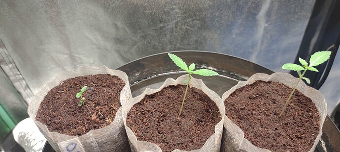 16989682468225183921013420091840