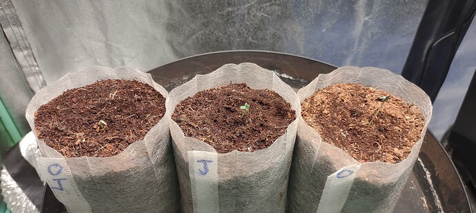 IMG_20231026_063925826