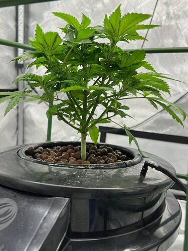 Day 28 b