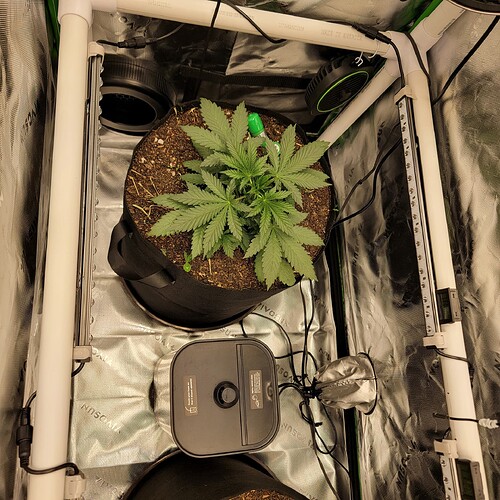 17599275642994686030331104242190