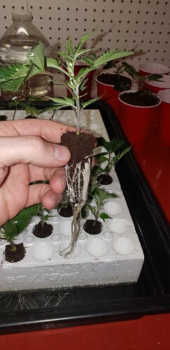 20191222_152729