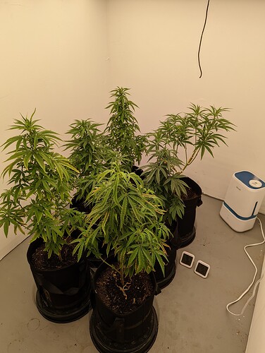 PXL_20220424_134534141