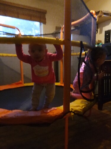 IMG_20231203_144946568 - Copy