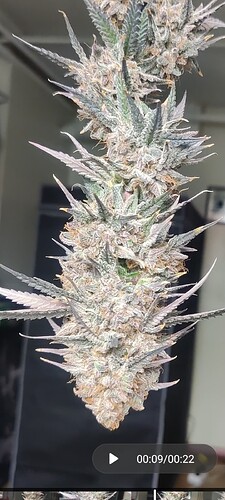 Screenshot_2025-10-12-10-31-17-39_92460851df6f172a4592fca41cc2d2e6