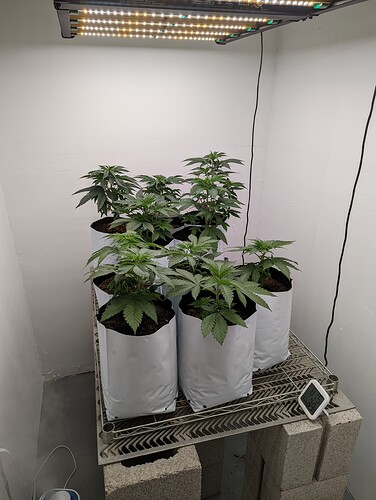 PXL_20220504_150311065