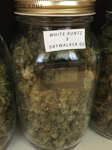 White Runtz x SkyWalker og Harvest 94g