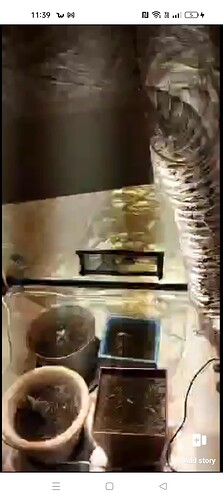 Screenshot_2022-12-10-11-39-52-03_be80aec1db9a2b53c9d399db0c602181
