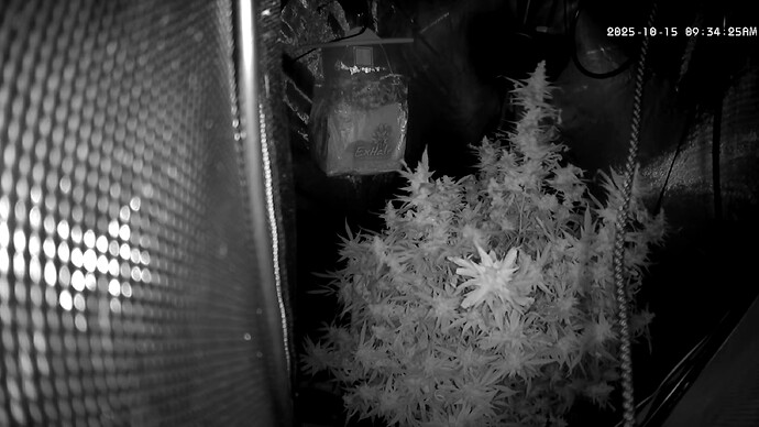 Plant 120 Day 92