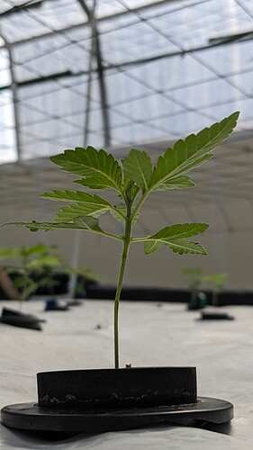 PXL_20250806_224245006