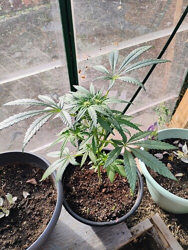 IMG_20250925_160724040_HDR_AE