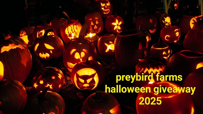 jackolanternfestival