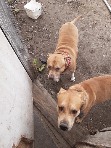 15874932801152843478206247330276