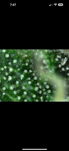 IMG_0272