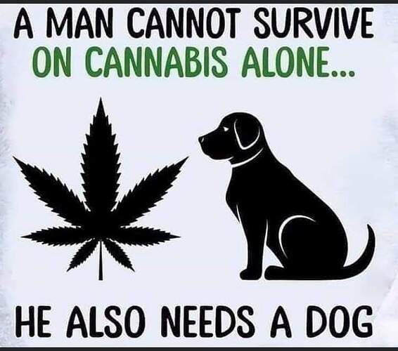 83709187_2827951787289347_8713785660516859904_n