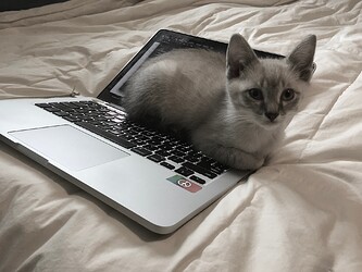 1C44074D-D736-4527-8B4B-88C329610AAE_1_201_a