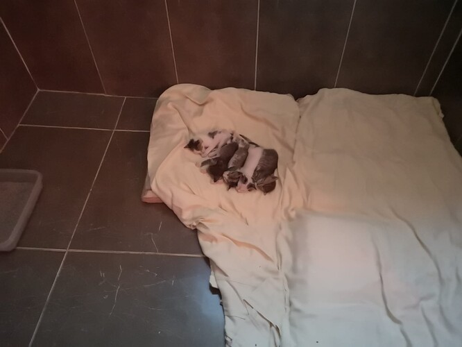 WhatsApp Image 2022-07-20 at 6.23.54 PM