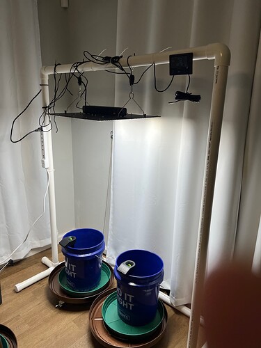 Light Stand Complete