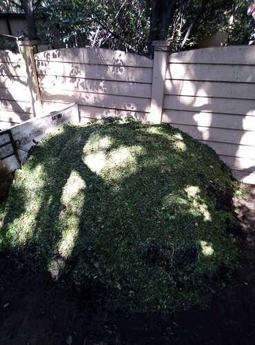 IMG-20200422-WA0005