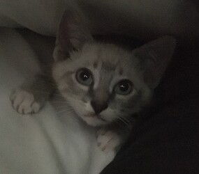 6DBBDA0D-4C12-4F61-89F5-9799E7F87C81_1_201_a