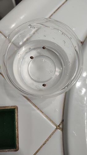 17575931456869219054716545060700