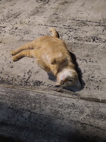 IMG_20220128_182738226