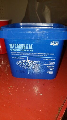 IMG-20191222-WA0024