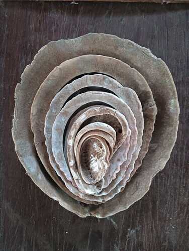 WhatsApp Image 2026-02-15 at 18.51.44