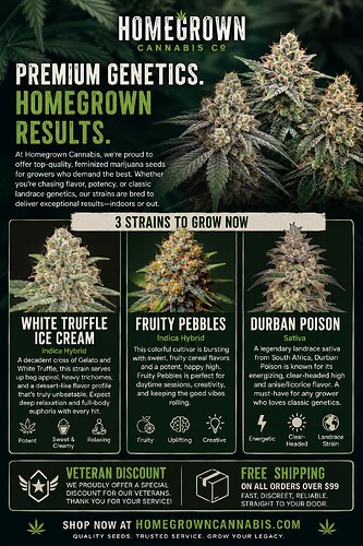 Home Grown Cannabis Co