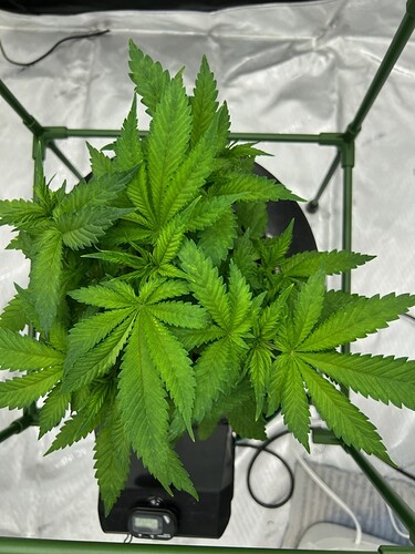 Day 30 a