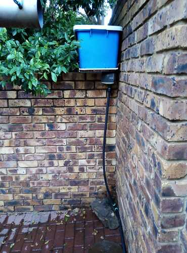 IMG-20200131-WA0001