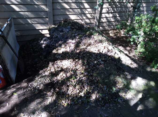 IMG-20200422-WA0002