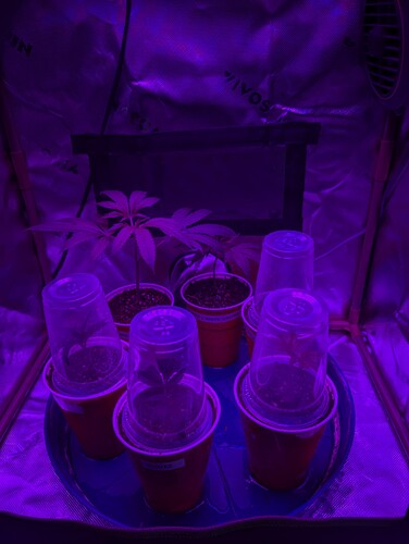 PXL_20250706_113029363