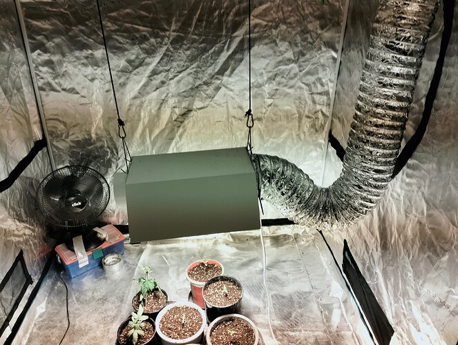 IMG20221210180846