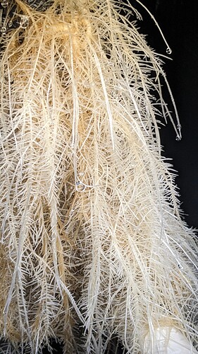 PXL_20250908_155637744