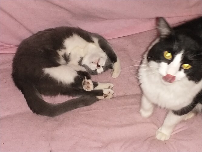 IMG_20220503_143215120