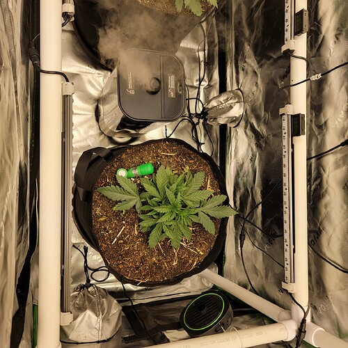 17599275831505961505827477782564