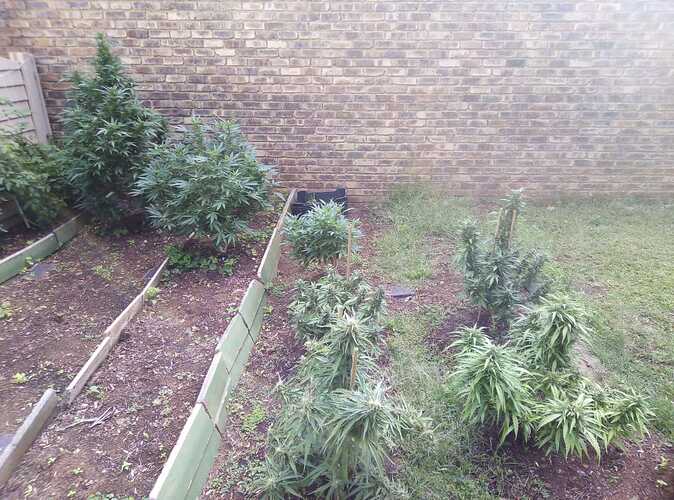 IMG-20210214-WA0003