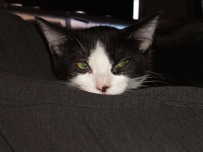 IMG_20220407_154901664