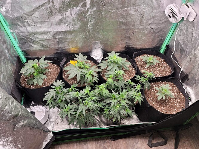 received_1047035572770418