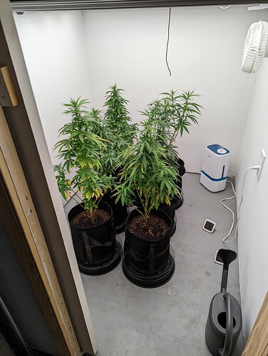 PXL_20220428_135240925